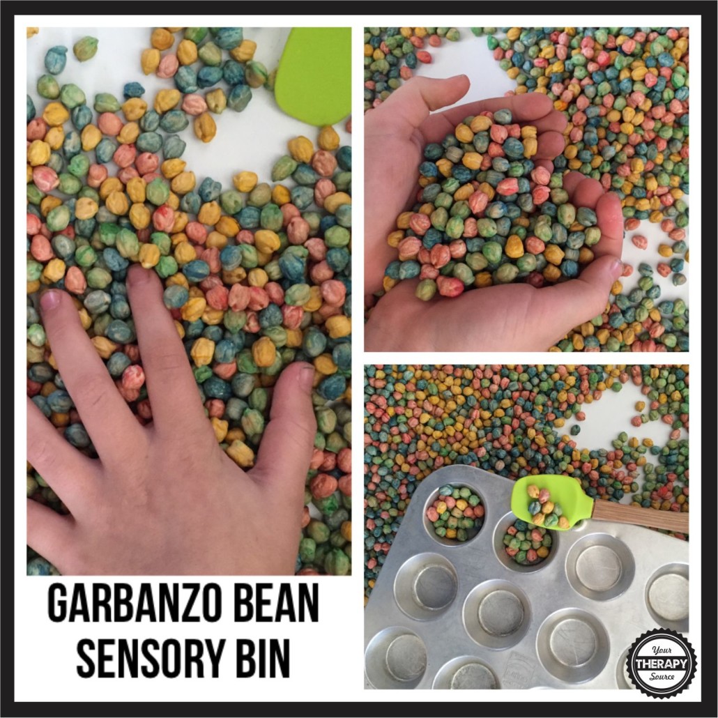 Garbanzo Bean Sensory Bin