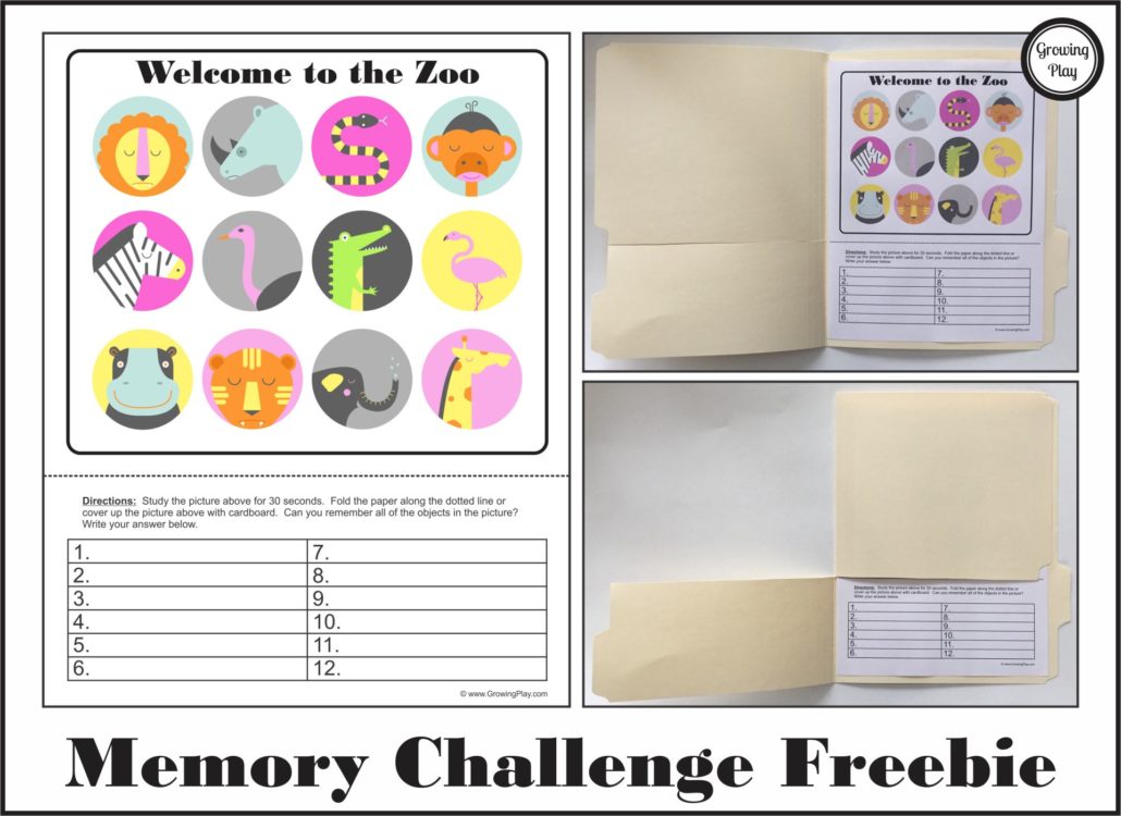 Memory Challenge Freebie