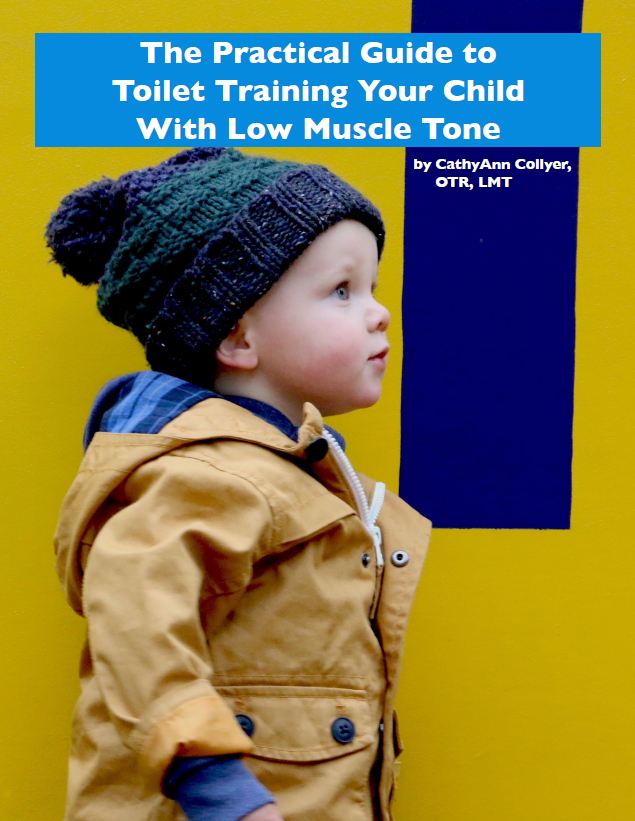 The Practical Guide to Toilet Training Your Child With Low Muscle Tone