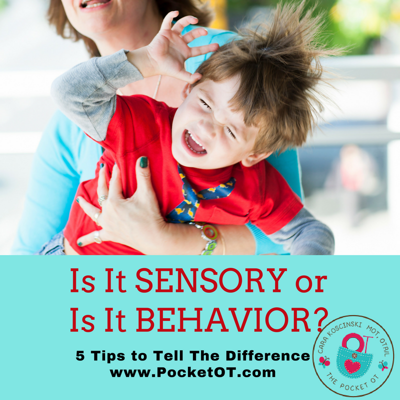 This Is It Sensory or Is It Behavior Course - On Demand 2 Hour Webinar discusses various differences between sensory and behavior.  The presenter is a pediatric Occupational Therapist, Cara Koscinski OTR/L who is also a mother to 2 sons with special needs.