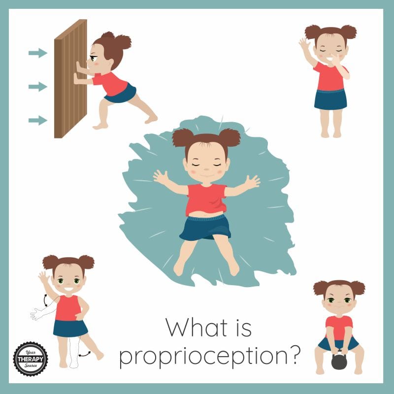 What is proprioception?  Proprioception is the ability of your muscles and joints to determine where they are in space.