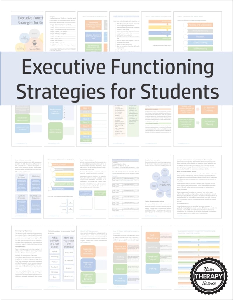 The Executive Functioning Strategies for Students digital workbook is a step by step guide to help boost your student's working memory, impulse control, focus, emotional control, organization, planning, and self-monitoring! 